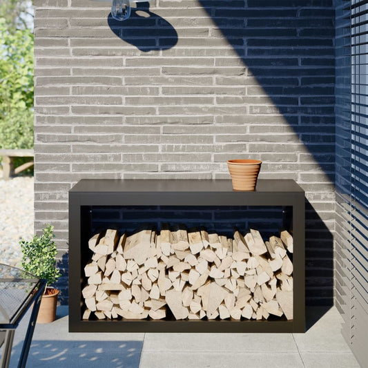 Stojan na palivové dřevo černý 100 x 40 x 60 cm ocel